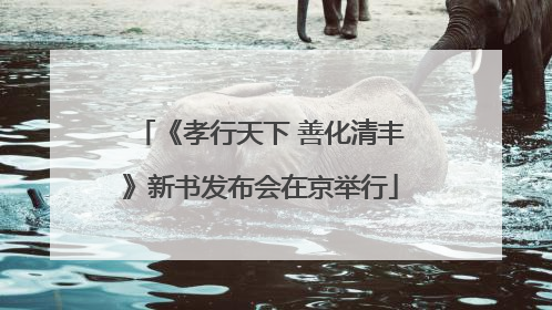《孝行天下 善化清丰》新书发布会在京举行