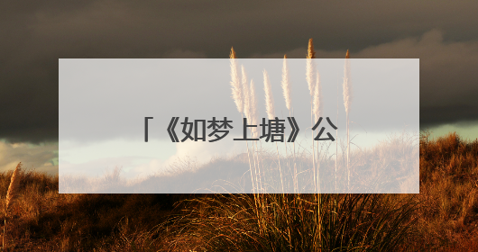 《如梦上塘》公益航班首发启航