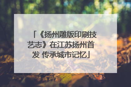 《扬州雕版印刷技艺志》在江苏扬州首发 传承城市记忆
