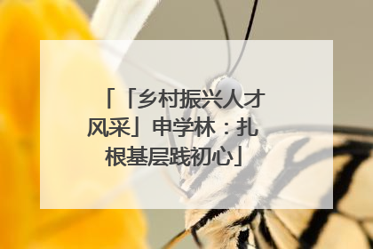 「乡村振兴人才风采」申学林：扎根基层践初心