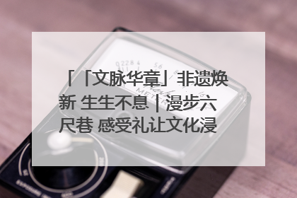 「文脉华章」非遗焕新 生生不息｜漫步六尺巷 感受礼让文化浸润的“巷”往生活