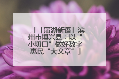「蒲湖新语」滨州市博兴县：以“小切口”做好数字惠民“大文章”