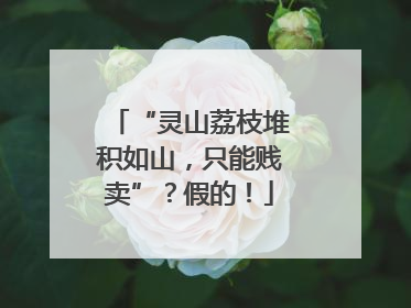 “灵山荔枝堆积如山，只能贱卖”？假的！