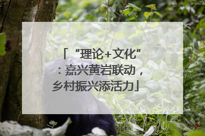 “理论+文化”：嘉兴黄岩联动，乡村振兴添活力