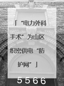 “电力外科手术”为山区织密供电“防护网”