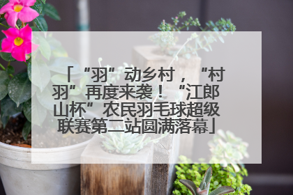 “羽”动乡村，“村羽”再度来袭！“江郎山杯”农民羽毛球超级联赛第二站圆满落幕