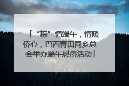 “粽”情端午，情暖侨心，巴西青田同乡总会举办端午慰侨活动