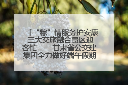 “粽”情服务护安康 三大交旅融合景区迎客忙——甘肃省公交建集团全力做好端午假期景区运营工作