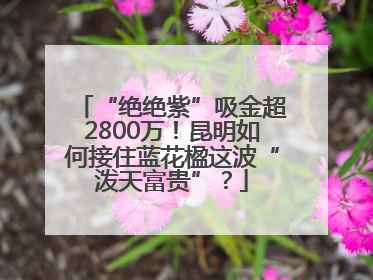 “绝绝紫”吸金超2800万！昆明如何接住蓝花楹这波“泼天富贵”？