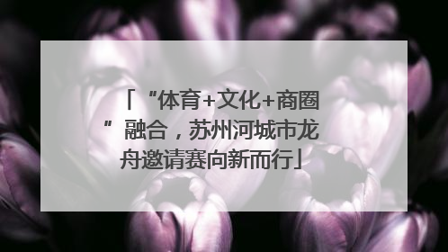 “体育+文化+商圈”融合，苏州河城市龙舟邀请赛向新而行