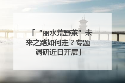 “丽水荒野茶”未来之路如何走？专题调研近日开展