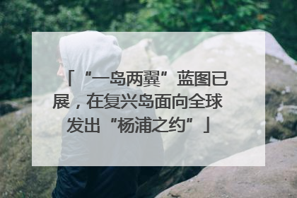 “一岛两翼”蓝图已展，在复兴岛面向全球发出“杨浦之约”