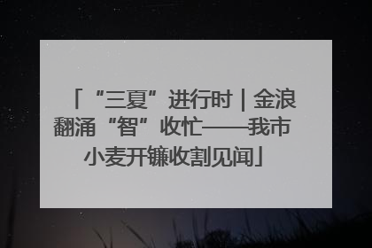 “三夏”进行时｜金浪翻涌“智”收忙——我市小麦开镰收割见闻