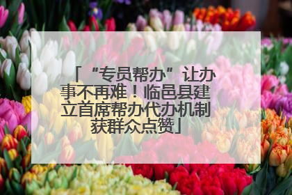 “专员帮办”让办事不再难！临邑县建立首席帮办代办机制获群众点赞