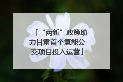 “两新”政策助力甘肃首个氢能公交项目投入运营
