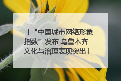 “中国城市网络形象指数”发布 乌鲁木齐文化与治理表现突出