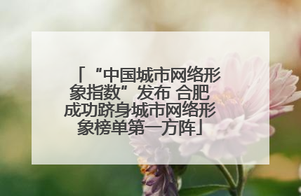 “中国城市网络形象指数”发布 合肥成功跻身城市网络形象榜单第一方阵