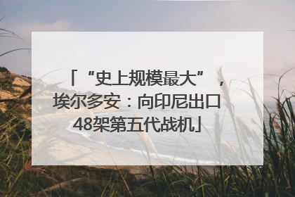 “史上规模最大”，埃尔多安：向印尼出口48架第五代战机