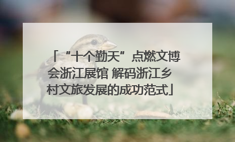 “十个勤天”点燃文博会浙江展馆 解码浙江乡村文旅发展的成功范式