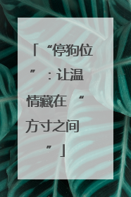 “停狗位 ”：让温情藏在 “方寸之间 ”