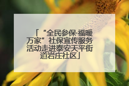 “全民参保·福暖万家”社保宣传服务活动走进泰安天平街道岩庄社区