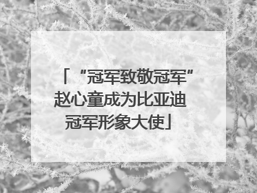 “冠军致敬冠军” 赵心童成为比亚迪冠军形象大使