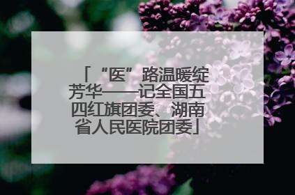 “医”路温暖绽芳华——记全国五四红旗团委、湖南省人民医院团委