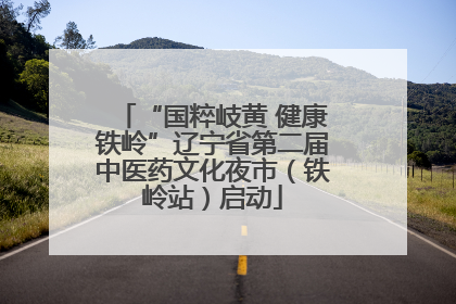 “国粹岐黄 健康铁岭”辽宁省第二届中医药文化夜市（铁岭站）启动