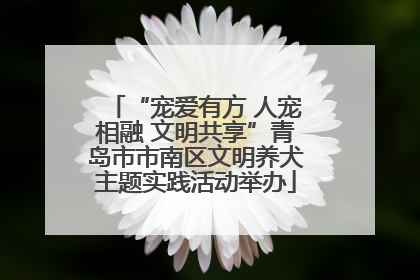 “宠爱有方 人宠相融 文明共享”青岛市市南区文明养犬主题实践活动举办