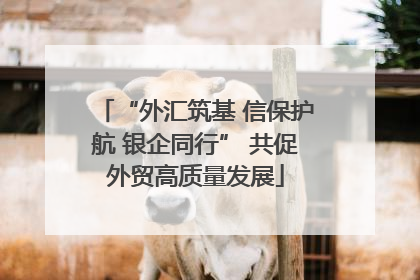 “外汇筑基 信保护航 银企同行” 共促外贸高质量发展