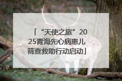 “天使之旅”2025青海先心病患儿筛查救助行动启动