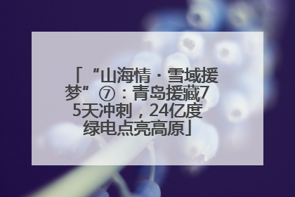 “山海情・雪域援梦”⑦：青岛援藏75天冲刺，24亿度绿电点亮高原