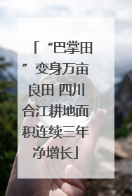 “巴掌田”变身万亩良田 四川合江耕地面积连续三年净增长