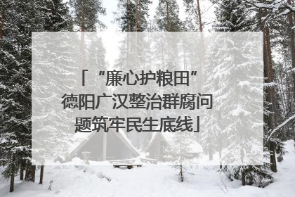 “廉心护粮田” 德阳广汉整治群腐问题筑牢民生底线
