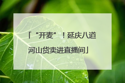 “开麦”！延庆八道河山货卖进直播间