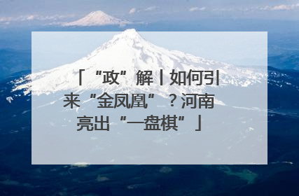 “政”解丨如何引来“金凤凰”？河南亮出“一盘棋”