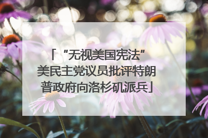 “无视美国宪法” 美民主党议员批评特朗普政府向洛杉矶派兵