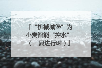 “机械城堡”为小麦智能“控水”（三夏进行时）