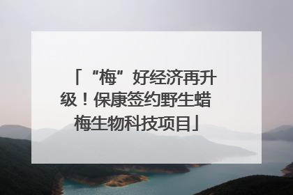“梅”好经济再升级！保康签约野生蜡梅生物科技项目