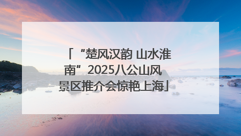 “楚风汉韵 山水淮南”2025八公山风景区推介会惊艳上海