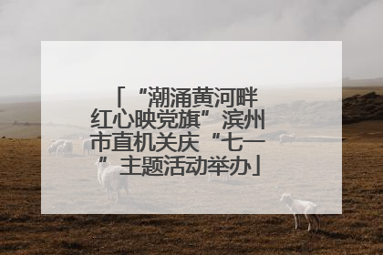 “潮涌黄河畔 红心映党旗”滨州市直机关庆“七一”主题活动举办
