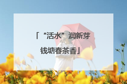 “活水”润新芽 钱塘春茶香