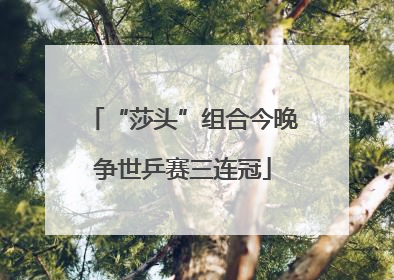 “莎头”组合今晚争世乒赛三连冠