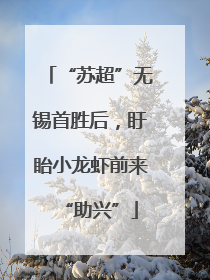 “苏超”无锡首胜后，盱眙小龙虾前来“助兴”