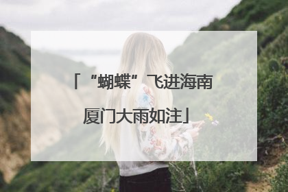 “蝴蝶”飞进海南 厦门大雨如注