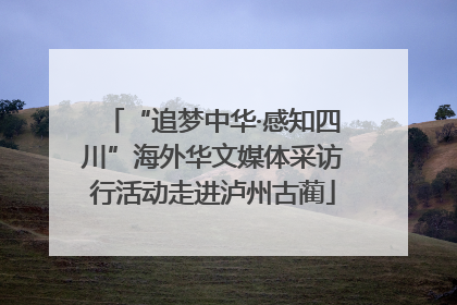 “追梦中华·感知四川”海外华文媒体采访行活动走进泸州古蔺