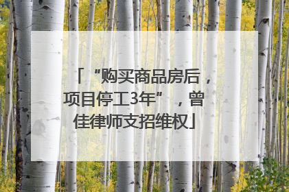 “购买商品房后，项目停工3年”，曾佳律师支招维权