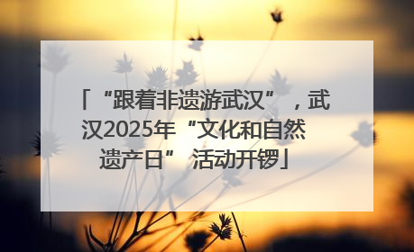 “跟着非遗游武汉”，武汉2025年“文化和自然遗产日” 活动开锣