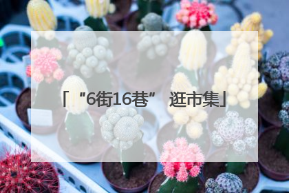 “6街16巷” 逛市集