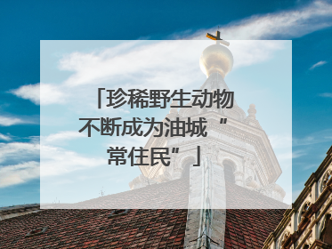 珍稀野生动物不断成为油城“常住民”